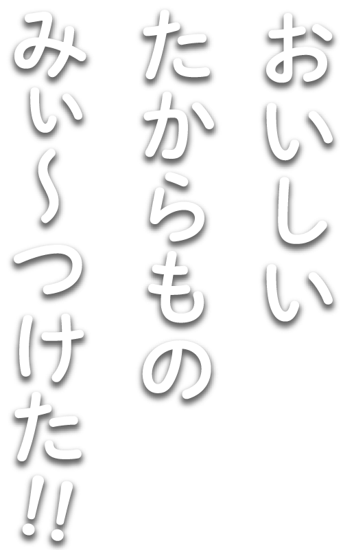 top-kya02